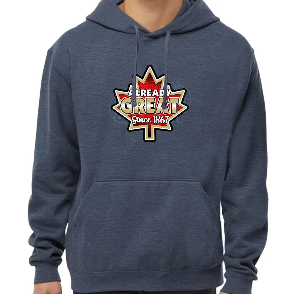 Already Great: Hoodies - Heather Navy / S