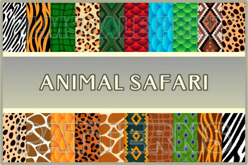 Animal Safari
