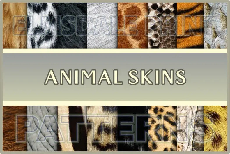 Animal Skins