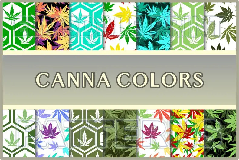 Canna Colors