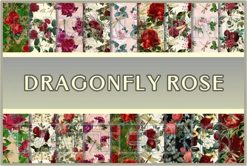 Dragonfly Rose