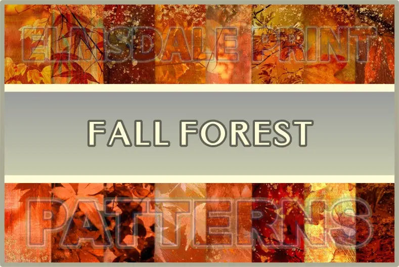 Fall Forest