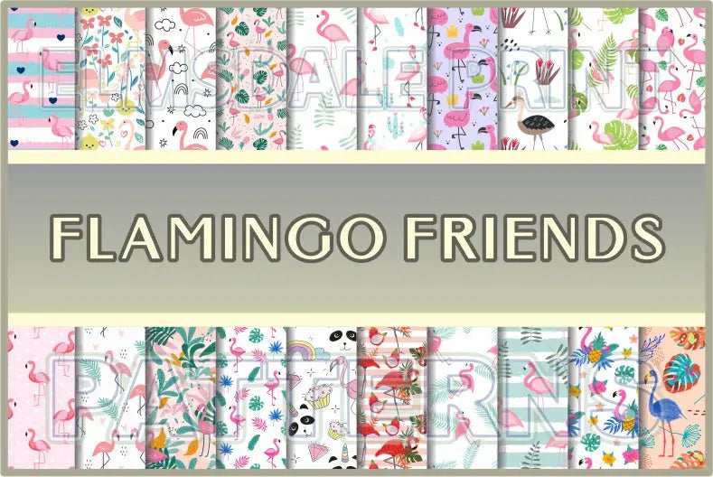 Flamingo Friends