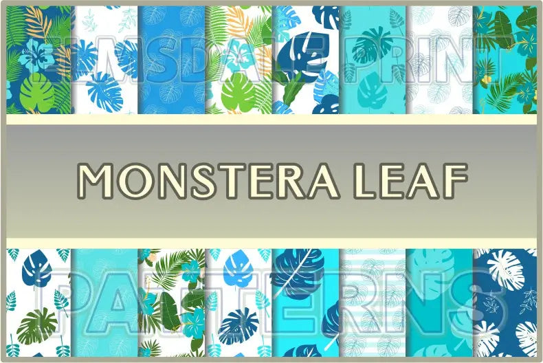 Monstera Leaf