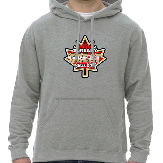 Already Great: Hoodies - Heather Grey / S