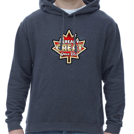 Already Great: Hoodies - Heather Navy / S