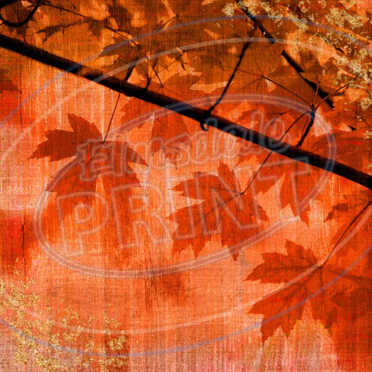 Fall Forest 009 Printed Pattern Vinyl