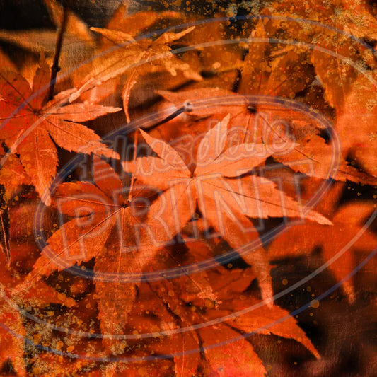 Fall Forest 010 Printed Pattern Vinyl