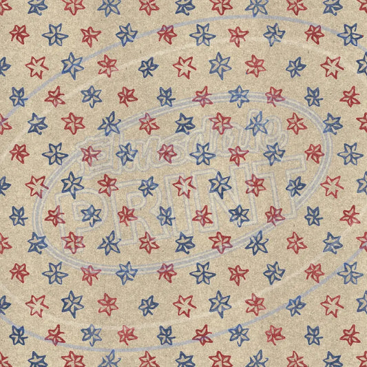 New Retro Usa 017 Printed Pattern Vinyl