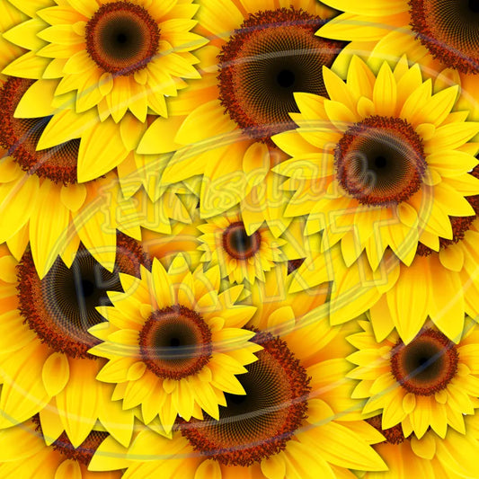 Sunny Sunflower 003 Printed Pattern Vinyl