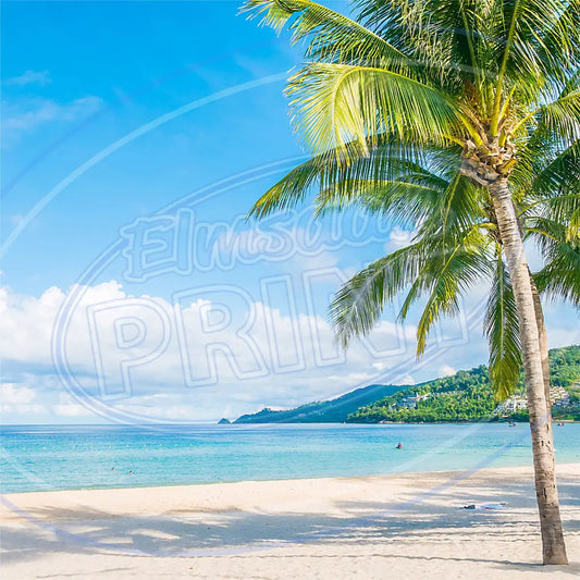 Tropical Dream 010 Printed Pattern Vinyl