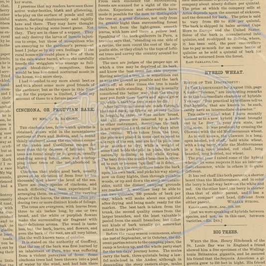 Vintage Newsprint 003 Printed Pattern Vinyl